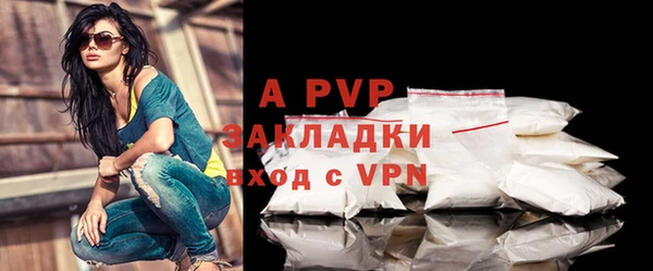 PSILOCYBIN Белоозёрский