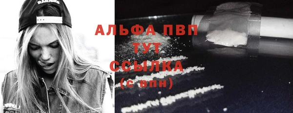 спайс Богородицк