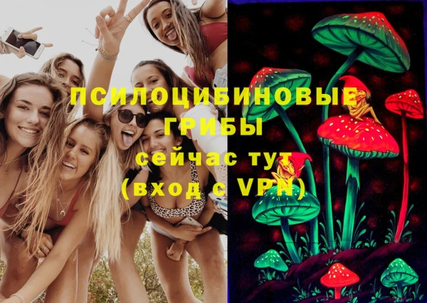 экстази Богданович
