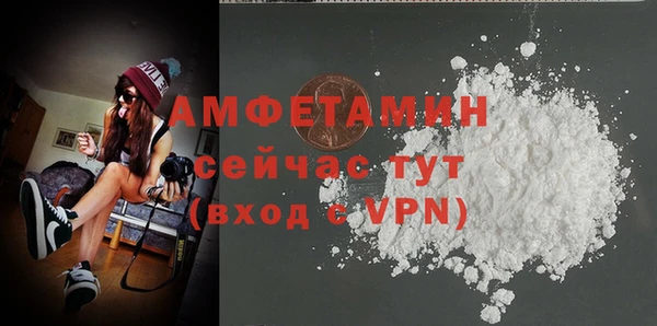 прущие грибы Белокуриха