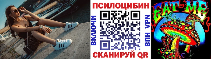 где купить наркоту  Оха  Псилоцибиновые грибы Psilocybine cubensis 